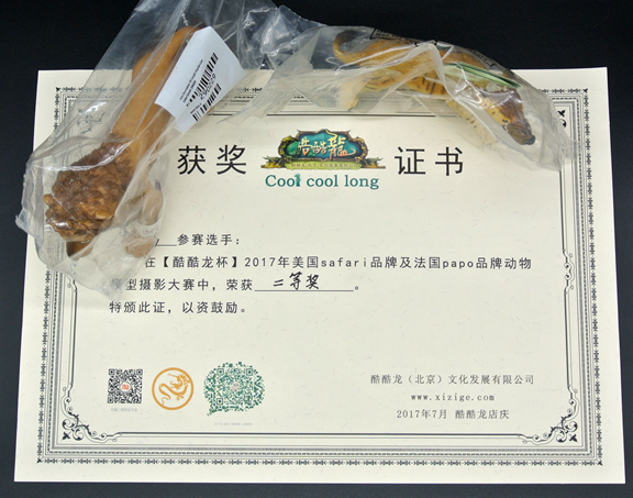 一等奖证书和奖品